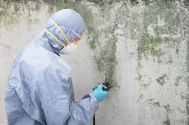 Best Residential Mold Inspection & Testing  in Flomaton, AL